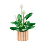 LEGO Botanicals: Peace Lily (11504) – imagine 2