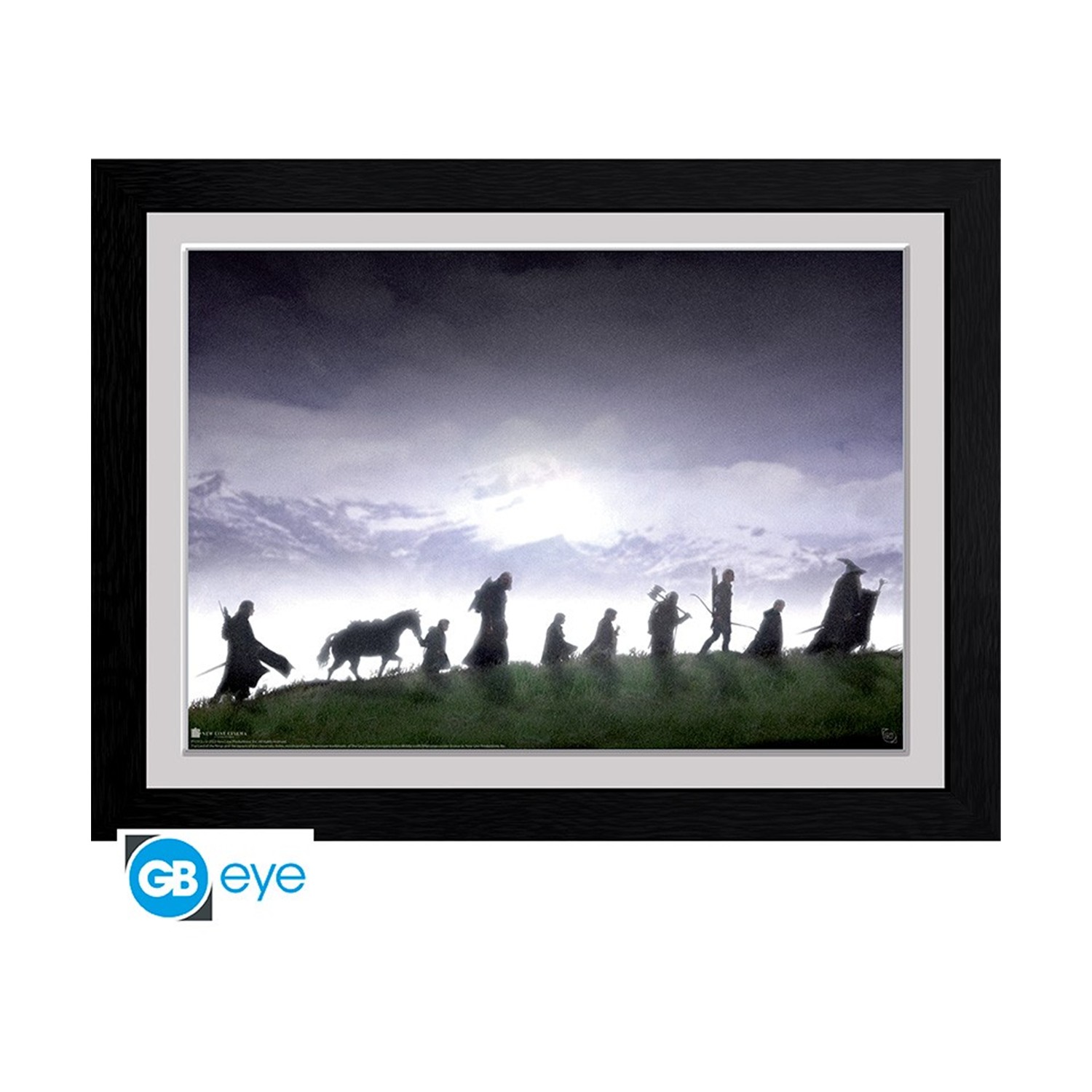 130820266a7d3b0876096.jpeg Abysse: The Lord Of The Rings - Fellowship Framed Print (30x40cm) (PFC972)
