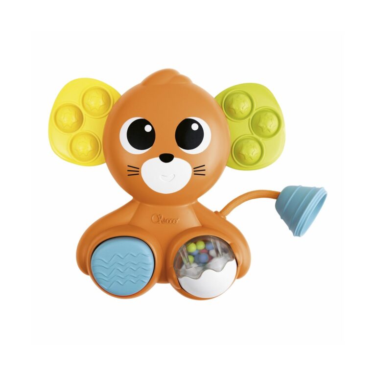 Chicco Baby Sense & Focus: Multiactivity Mouse (Y02-11822-00)