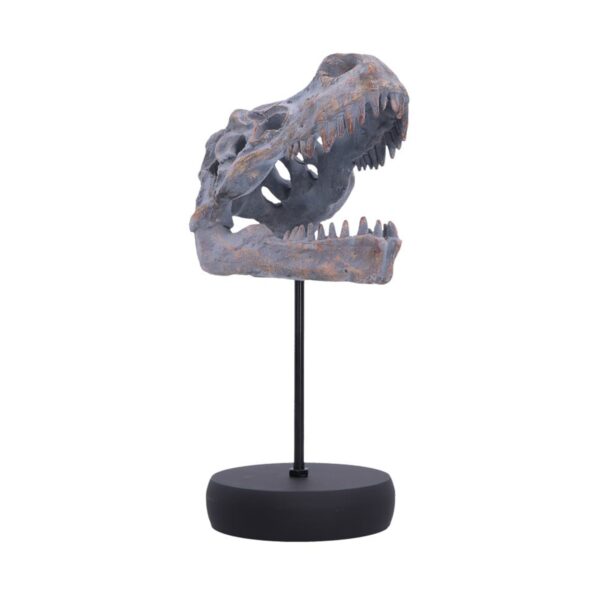 Nemesis Now: Tyrannosaurus Rex Skull on Plinth (D7553B26)