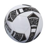 Juventus Ball Pro 2023 - Size 5 (119243) – imagine 2