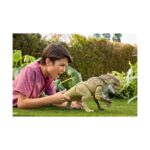 Mattel Jurassic World Rebirth: Rumble N' Rampage - Distortus Rex (JGB58) – imagine 2