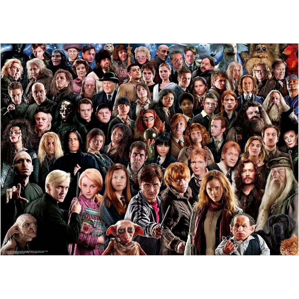 Harry Potter puzzle 1000pcs – imagine 2
