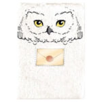 Harry Potter Hedwig A5 notebook + pen – imagine 2