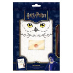 Harry Potter Hedwig A5 notebook + pen