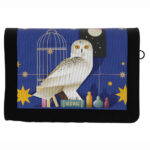 Harry Potter pack wallet + keychain – imagine 4