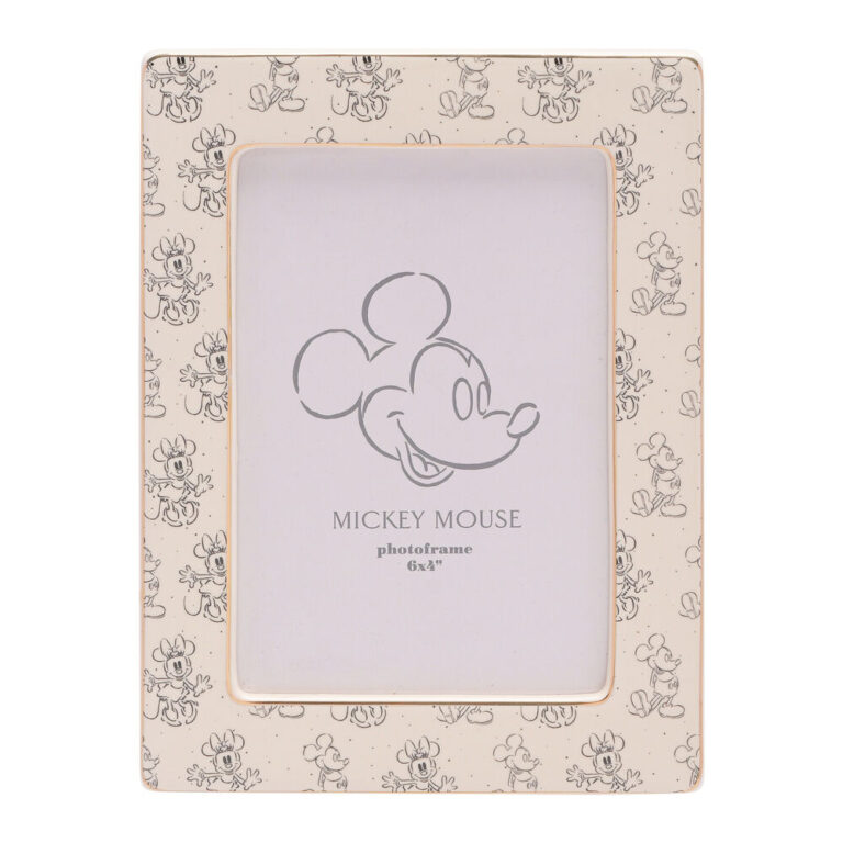 Disney Mickey & Minnie photo frame