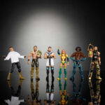 WWE Elite Collection assorted figure 15cm – imagine 3